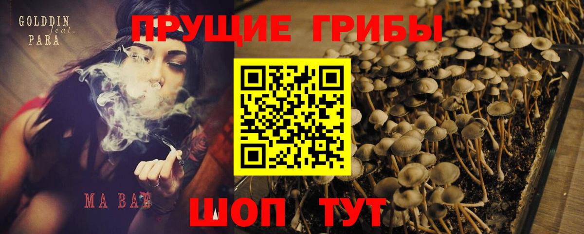 Псилоцибиновые грибы Psilocybine cubensis  Вход с VPN  Шарыпово 